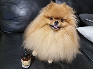 아롱이님이 올린 리뷰 사진 1