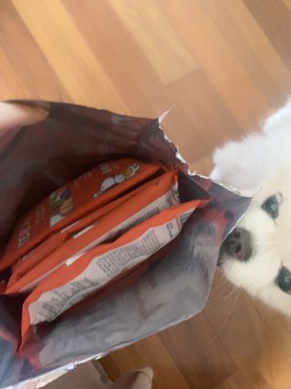 리디아은서님이 올린 리뷰 사진 2