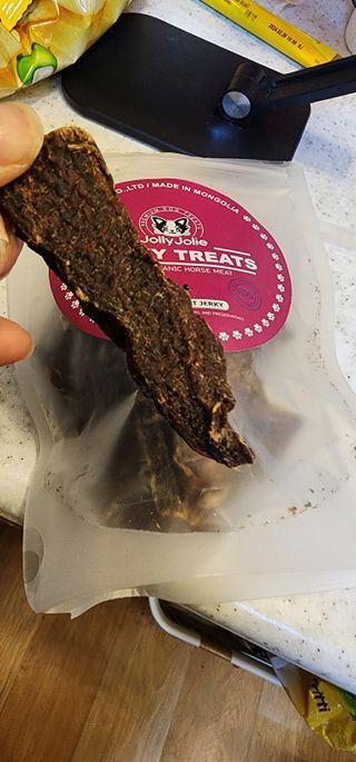 [졸리졸리] 말고기 육포 간식 (HORSE MEAT JERKY) — 5점을 준 리뷰어가 2023년 1월 올린 사용 사진