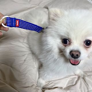 오랑이님이 올린 리뷰 사진 1