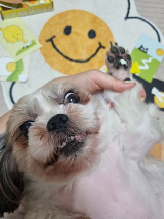 clarawon님이 올린 리뷰 사진 2