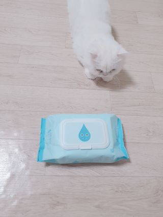 아이수 블루니 몬스터 아기 물티슈 — 1점을 준 리뷰어가 2020년 12월 올린 사용 사진