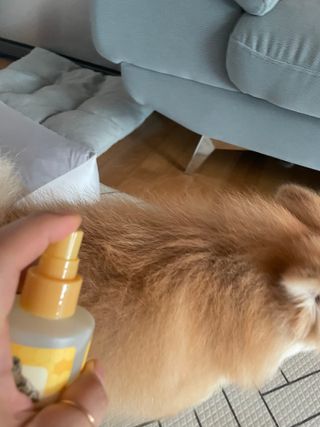 용빈맘님이 올린 리뷰 사진 4