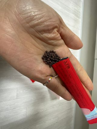 쏘피님이 올린 리뷰 사진 3