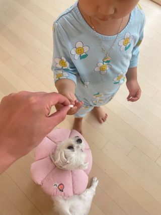 일동아이키즈쑥쑥 일동 아이 키즈 쑥쑥 — 5점을 준 리뷰어가 2022년 11월 올린 사용 사진