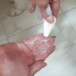 딸랑구둘🥰님이 올린 리뷰 사진 4