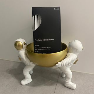 [이즈라이프코스메틱] 퍼퓸 드라이어 시트 히노끼향  or 블랑향 2중 택1 30매 — 4.5점을 준 리뷰어가 2021년 5월 올린 사용 사진