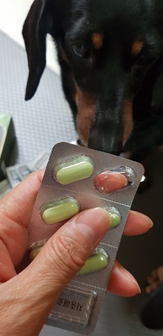 클린24시간 지중해로 쏙빠지다 1SET (800mg*60정) — 5점을 준 리뷰어가 2023년 4월 올린 사용 사진