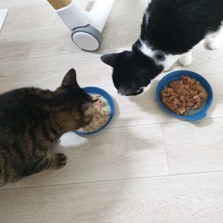 숑굥님이 올린 리뷰 사진 3