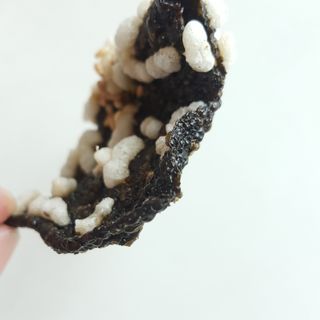 Hellen1004님이 올린 리뷰 사진 3