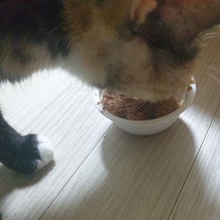 이째님이 올린 리뷰 사진 4