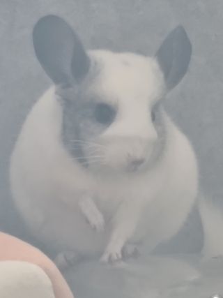 Lucy님이 올린 리뷰 사진 3