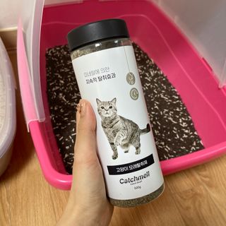 앙주비님이 올린 리뷰 사진 2