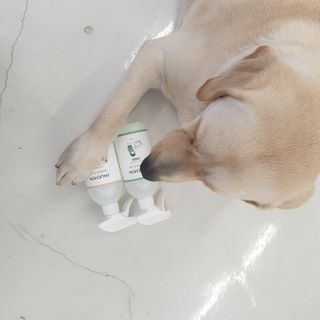 리아님이 올린 리뷰 사진 2