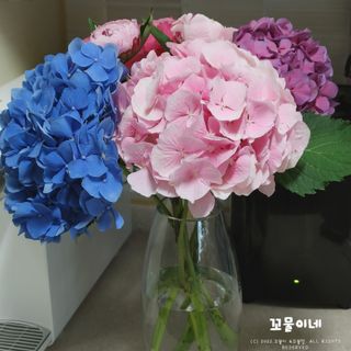 꼬물이님이 올린 리뷰 사진 3