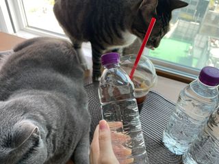 몽베스트 [MONTBEST]위드어스 500mL 20병 — 5점을 준 리뷰어가 2022년 9월 올린 사용 사진