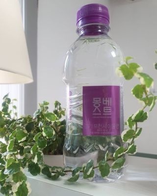 몽베스트 [MONTBEST] 330mL 20병 — 5점을 준 리뷰어가 2021년 10월 올린 사용 사진