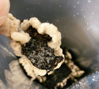 프로밍님이 올린 리뷰 사진 2
