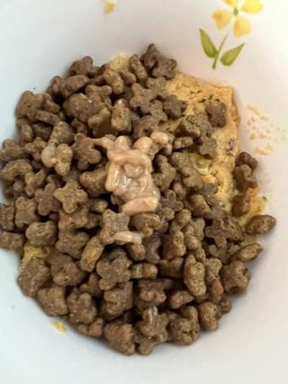 서리h님이 올린 리뷰 사진 3