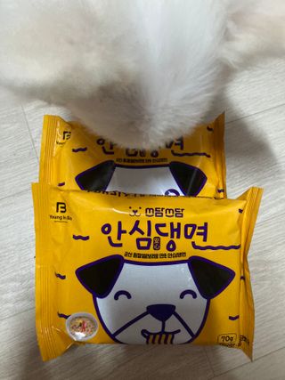 안심댕면 강아지라면 5봉지+쓰담쓰담 종합영양제 2스틱 샘플 증정 — 5점을 준 리뷰어가 2022년 8월 올린 사용 사진