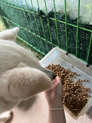 밤비짱님이 올린 리뷰 사진 2
