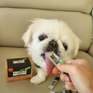 mini unni님이 올린 리뷰 사진 3