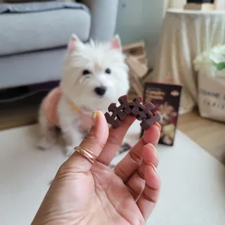 jj스타일님이 올린 리뷰 사진 3