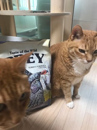 오필리뷰님이 올린 리뷰 사진 2