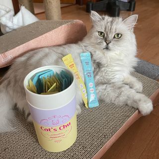 페페로니 잘 먹는 캣츄 - 무항생제 닭고기 12개 + 원양선 참치 12개 — 5점을 준 리뷰어가 2021년 8월 올린 사용 사진