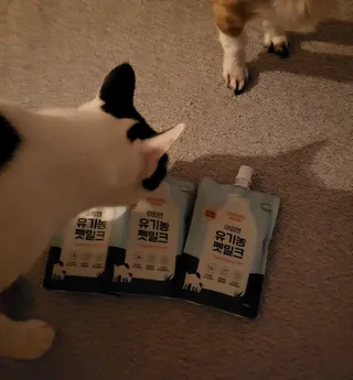 오둥이맘님이 올린 리뷰 사진 2
