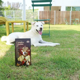 오하나님이 올린 리뷰 사진 2