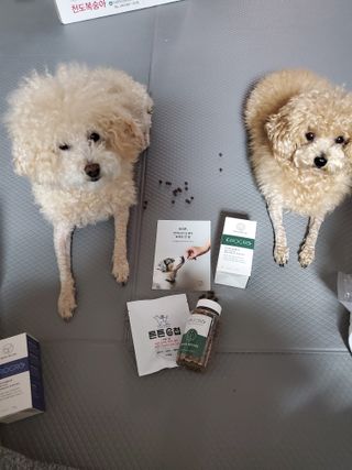 모모맘님이 올린 리뷰 사진 2