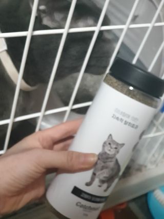 옹알이님이 올린 리뷰 사진 3