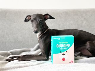 펫시랩 반려견용 액상 프리바이오틱스 아쿠아펫 — 5점을 준 리뷰어가 2021년 1월 올린 사용 사진