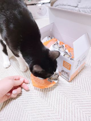 심정님이 올린 리뷰 사진 3