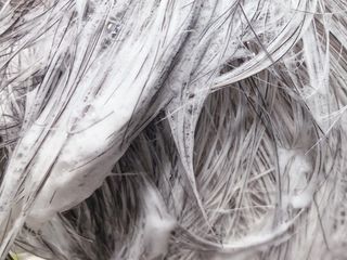 모닝스타님이 올린 리뷰 사진 3
