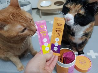 페페로니 맛있는 스틱 - 무항생제 닭고기 15개 + 알래스카 연어 15개 — 5점을 준 리뷰어가 2021년 8월 올린 사용 사진