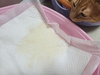 솔탄이love님이 올린 리뷰 사진 3