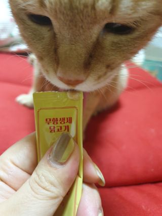 moomoon님이 올린 리뷰 사진 4