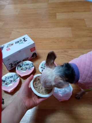 쪼꼬사랑이언니님이 올린 리뷰 사진 2