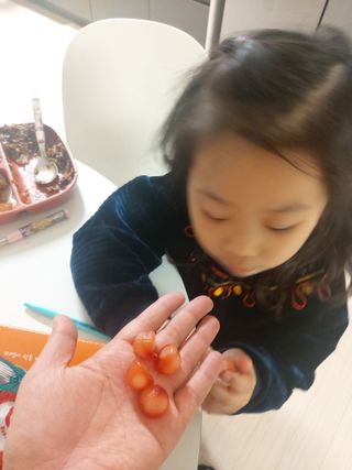 도로시맘님이 올린 리뷰 사진 4