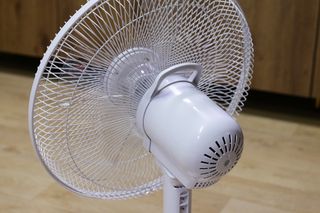 행복나무님이 올린 리뷰 사진 3