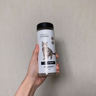 례진님이 올린 리뷰 사진 2