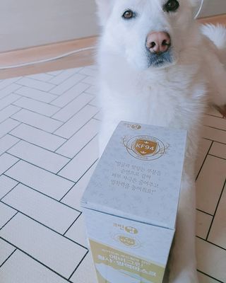 딸랑구둘🥰님이 올린 리뷰 사진 3