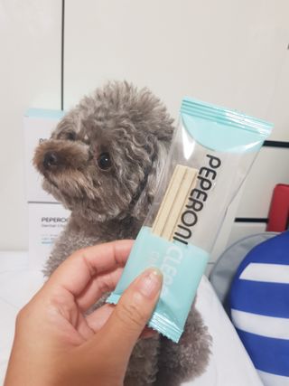영이꿍님이 올린 리뷰 사진 2