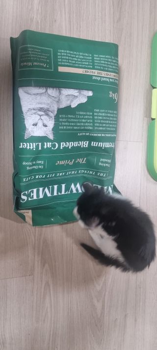 명샘님이 올린 리뷰 사진 3