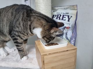 김미소님이 올린 리뷰 사진 3