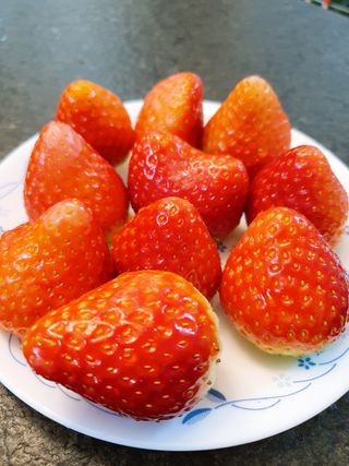 옳음 딸기 논산 설향 딸기 900g 산지직송 — 5점을 준 리뷰어가 2021년 1월 올린 사용 사진