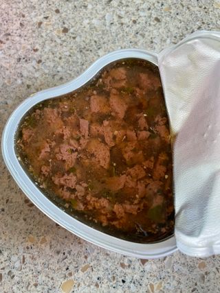비타크래프트 조에시 하트캔 85g 강아지 습식캔 10캔 — 5점을 준 리뷰어가 2021년 7월 올린 사용 사진