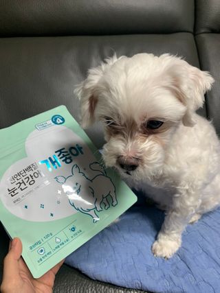 My Pet Care 천연단백질 눈건강에 개좋아 — 5점을 준 리뷰어가 2021년 2월 올린 사용 사진